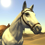 沙漠赛马